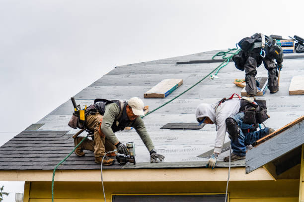 Professional Gutter Installation technician working in Climax, MN